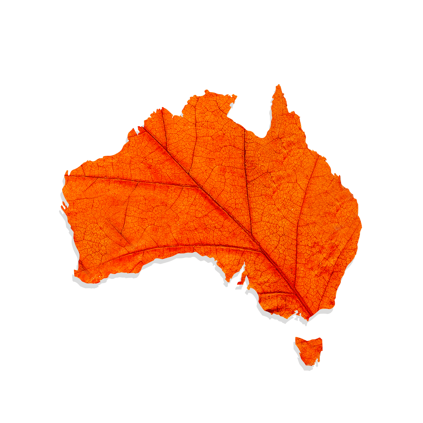 Eating Seasonally: Autumn in Australia